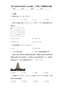 浙江省金华市东阳市2023届高三下学期5月模拟数学试题（含解析）