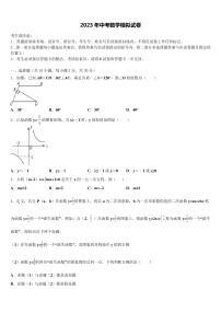 “合肥十校”联考2023届中考数学模拟试题含解析