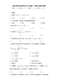 陕西省西安市周至县2023届高三三模文科数学试题（含解析）