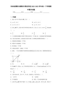 河南省濮阳市濮阳外国语学校2022-2023学年高一下学期期中数学试题