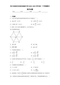四川省南充市南充高级中学2022-2023学年高一下学期期中数学试题（含答案解析）