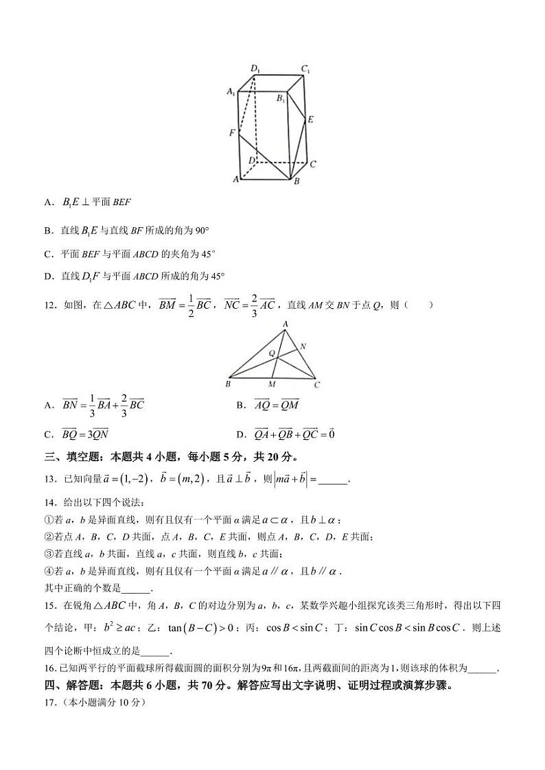 新教材高一下学期5月调研考试数学试题（原卷版+教师版）03