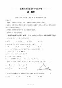新教材高一下学期5月期中数学试题（原卷版+答案版）