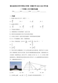 湖北省武汉市华中师范大学第一附属中学2022-2023学年高一下学期5月月考数学试题（含答案解析）
