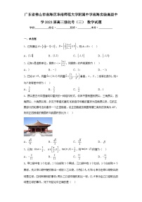 广东省佛山市南海区华南师范大学附属中学南海实验高级中学2023届高三强化考（三）数学试题（含解析）