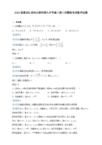 2023届黑龙江省哈尔滨市第九中学高三第三次模拟考试数学试题含解析