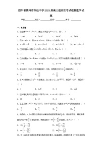 四川省崇州市怀远中学2023届高三适应性考试理科数学试题（含答案）