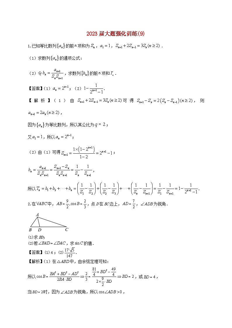 2023届高三数学二轮复习大题强化训练09含解析第1页