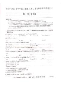 河南省TOP二十名校2023届高三猜题大联考（二）数学（文科）试题及答案