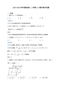 2022-2023学年福建省高二上学期11月期中数学试题含解析