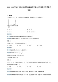 2022-2023学年广西柳州地区民族高级中学高二下学期期中考试数学试题含解析