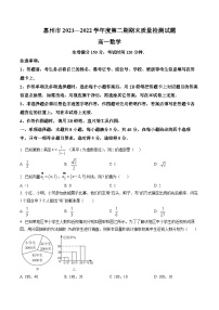 广东省惠州市2021-2022学年高一下学期期末数学试题