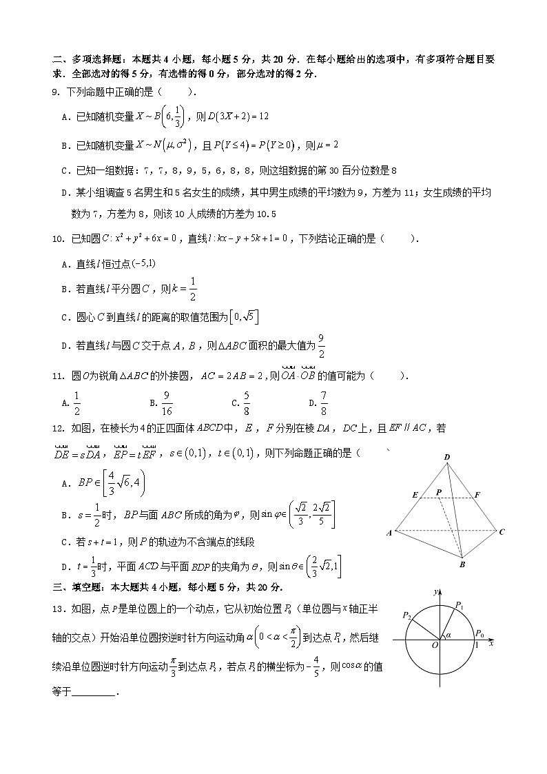 福建省泉州市安溪一中、养正中学、惠安一中、泉州实验中学2023届高三下学期适应性联考数学试卷02