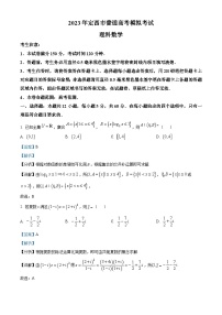精品解析：甘肃省定西市2023届高三下学期高考模拟考试理科数学试题（解析版）