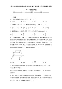 黑龙江省大庆实验中学2023届高三下学期5月考前得分训练（二）数学试题（含解析）