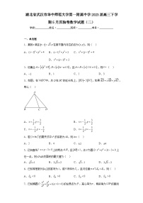 湖北省武汉市华中师范大学第一附属中学2023届高三下学期5月压轴卷数学试题（二）（含解析）