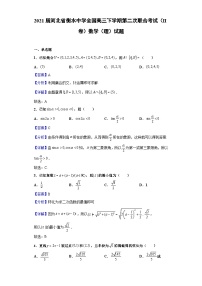 2021届河北省衡水中学全国高三下学期第二次联合考试（II卷）数学（理）试题（解析版）