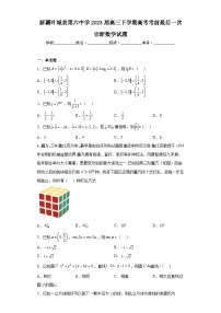 新疆叶城县第六中学2023届高三下学期高考考前最后一次诊断数学试题（含解析）