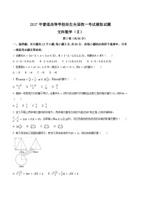 河北省衡水中学2017届高三押题II卷文数试题