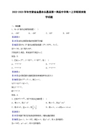 2022-2023学年甘肃省金昌市永昌县第一高级中学高一上学期期末数学试题（解析版）