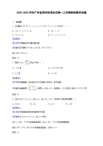 2022-2023学年广东省深圳市宝安区高一上学期期末数学试题（解析版）