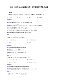 2022-2023学年山东省潍坊市高一上学期期末考试数学试题（解析版）