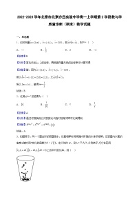 2022-2023学年北京市北京亦庄实验中学高一上学期第2学段教与学质量诊断（期末）数学试题（解析版）