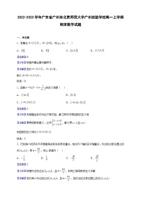 2022-2023学年广东省广州市北京师范大学广州实验学校高一上学期期末数学试题（解析版）