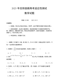 湖南省岳阳市岳阳县2023届高三数学下学期新高考适应性试题（Word版附解析）