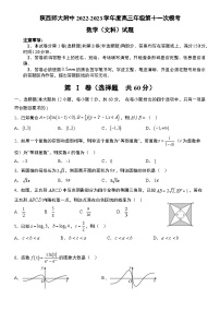 陕西省师大附中2022-2023学年高三数学（文）下学期第十一次模考试题（Word版附答案）