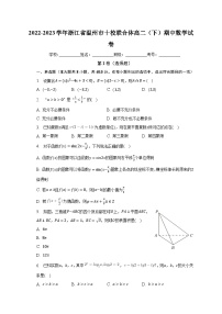 2022-2023学年浙江省温州市十校联合体高二（下）期中数学试卷（含解析）
