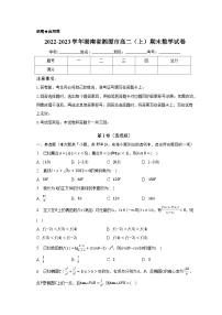 2022-2023学年湖南省湘潭市高二（上）期末数学试卷（含解析）