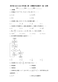 贵州省2022-2023学年高三第一次模拟考试数学（理）试卷（含解析）