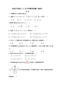 四川阆中东风中学2021届高三11月月考数学（理）试卷 Word版含答案