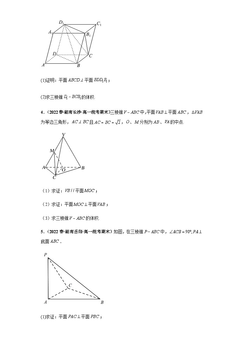 期末专题09 立体几何大题综合-【备战期末必刷真题】高一下学期期末考试真题必刷满分训练（新高考湖南专用）原卷版第2页