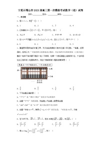 宁夏石嘴山市2023届高三第一次模拟考试数学（理）试卷（含解析）