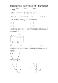 青海省西宁市2022-2023学年高三上学期一模理科数学试卷（含解析）