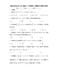 湖北省武汉市2023届高三下学期第三次模拟考试数学试卷（含解析）