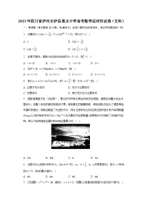 2023年四川省泸州市泸县重点中学高考数学适应性试卷（文科）