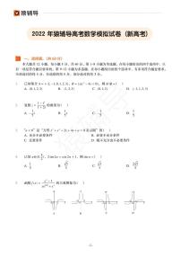 2022年猿辅导高考数学模拟试卷（新高考）
