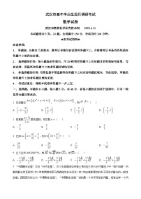 精品解析：湖北省武汉市高三下学期四月调研数学试题