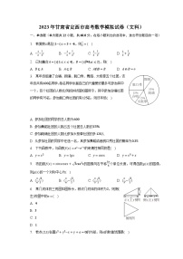 2023年甘肃省定西市高考数学模拟试卷（文科）（含解析）