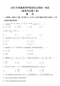 2023年新课标全国Ⅰ卷数学试卷【附参考答案】