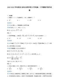 2022-2023学年黑龙江省哈尔滨市第九中学校高一下学期期中数学试题含解析