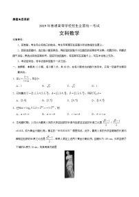 （精校版）2019年全国卷Ⅰ文数高考真题文档版（含答案）