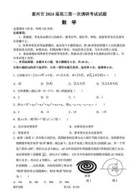 广东省惠州市2024届高三第一次调研考试数学试卷+答案