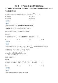 浙江省嘉兴市桐乡第一中学2023届高三数学下学期5月适应性测试试题（Word版附解析）