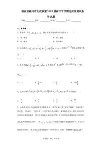 湖南省郴州市九校联盟2023届高三下学期适应性测试数学试题