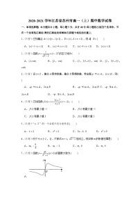 2020-2021学年江苏省苏州市高一（上）期中数学试卷