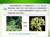 《指数幂的拓展》示范公开课教学课件【高中数学北师大版】